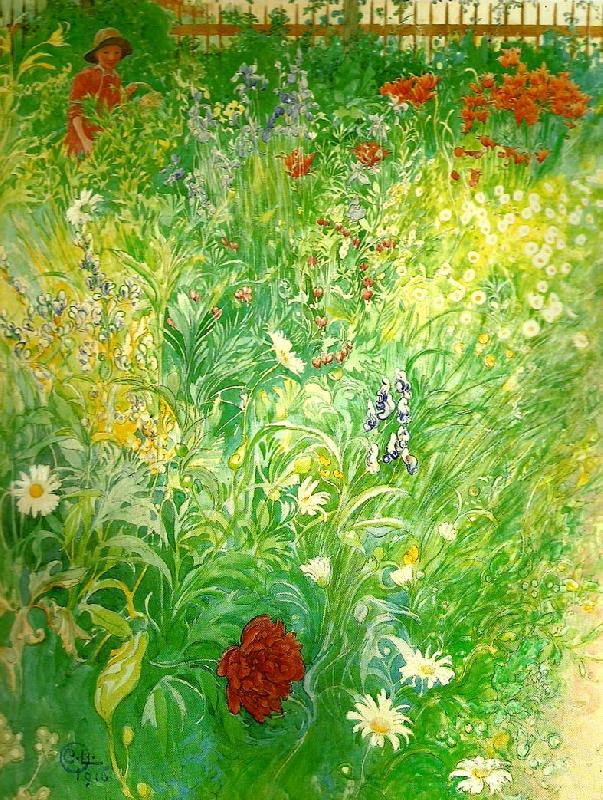 Carl Larsson blommor-sommarblommor china oil painting image